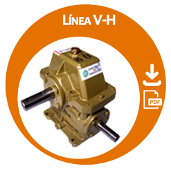 Linea H Sin fin y corona